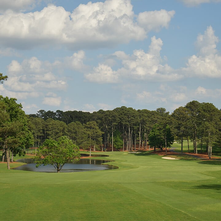 dunwoody cc_web